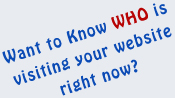 Wanna Know WHO is Visiting Your Website Right Now?